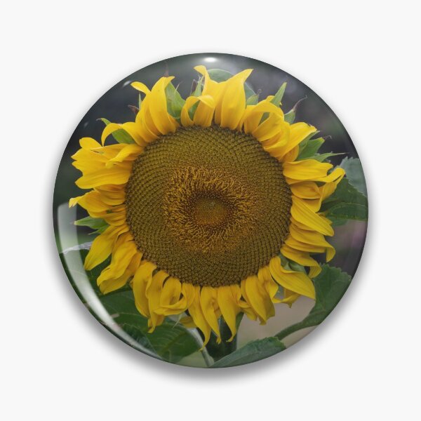 Item preview, One Big Sunflower designed and sold by GingerMan2550.