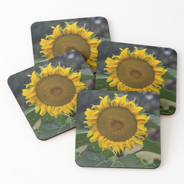 Item preview, One Big Sunflower designed and sold by GingerMan2550.
