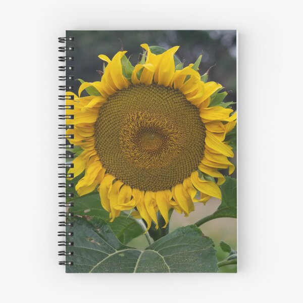Item preview, One Big Sunflower designed and sold by GingerMan2550.