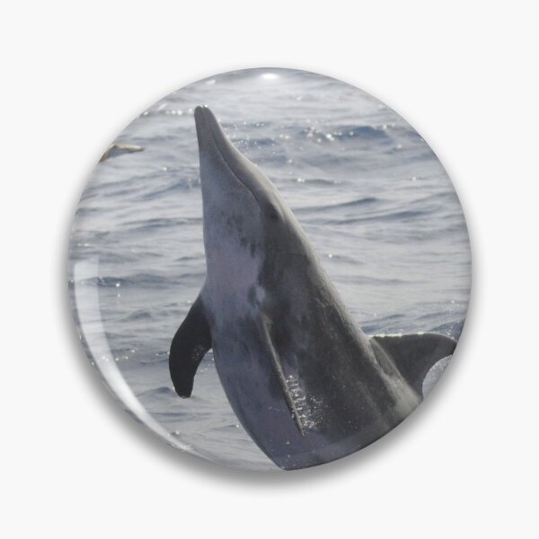 Item preview, Rough-toothed dolphin Steno bredanensis designed and sold by Chloé Yzoard.