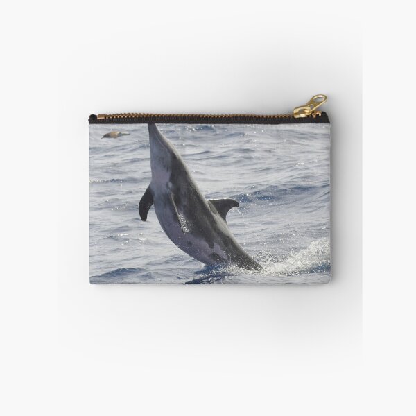 Item preview, Rough-toothed dolphin Steno bredanensis designed and sold by Chloé Yzoard.