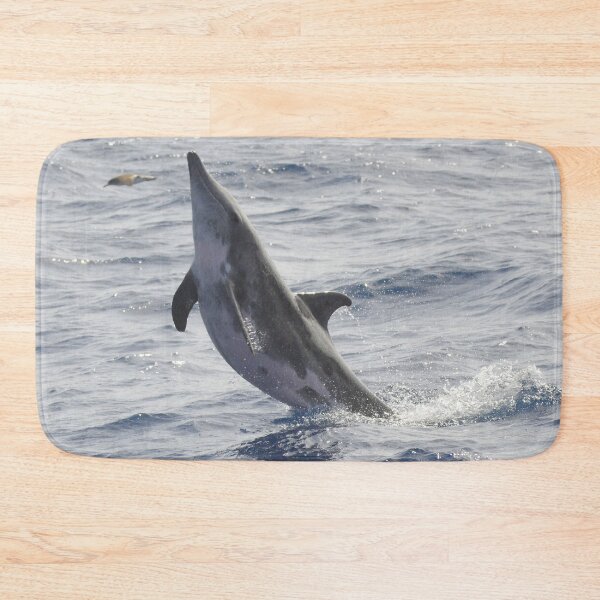 Item preview, Rough-toothed dolphin Steno bredanensis designed and sold by Chloé Yzoard.