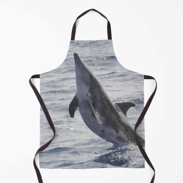 Item preview, Rough-toothed dolphin Steno bredanensis designed and sold by Chloé Yzoard.