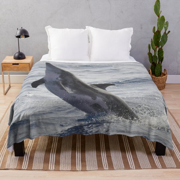 Item preview, Rough-toothed dolphin Steno bredanensis designed and sold by Chloé Yzoard.
