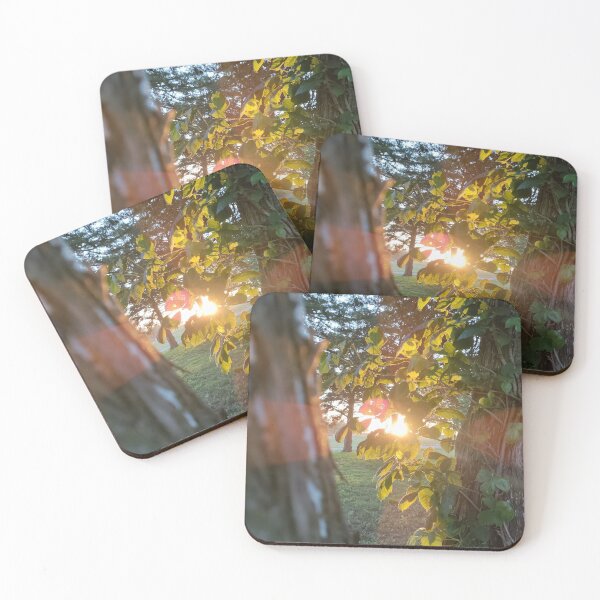 Item preview, Sunny Tree designed and sold by elfman89.