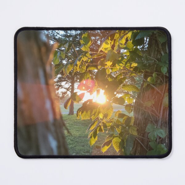 Item preview, Sunny Tree designed and sold by elfman89.