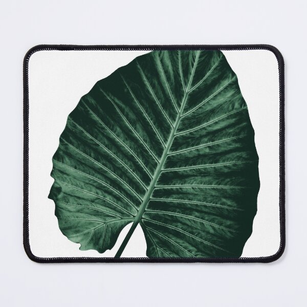 Item preview, Love Leaves Evergreen - Him #3 #decor #art  designed and sold by Anita's & Bella's Art.