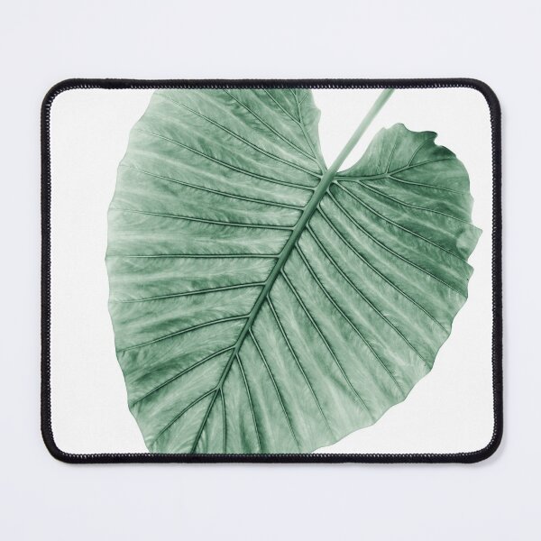 Item preview, Love Leaves Evergreen - Her #1 #decor #art designed and sold by Anita's & Bella's Art.