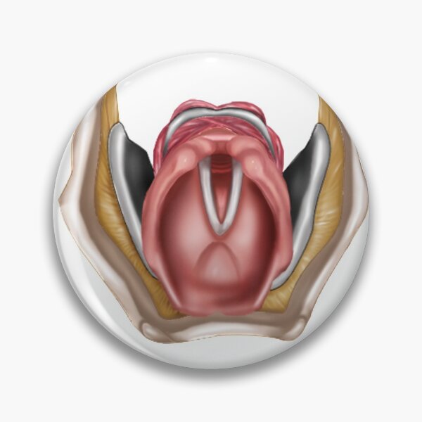 Item preview, Larynx Collection, with QR code to scan and see animation of the vocal folds! designed and sold by BlueTreePublish.