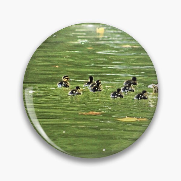 Item preview, Mallard Duck Mother and Brood of Ducklings Swimming designed and sold by Anna Lemos.