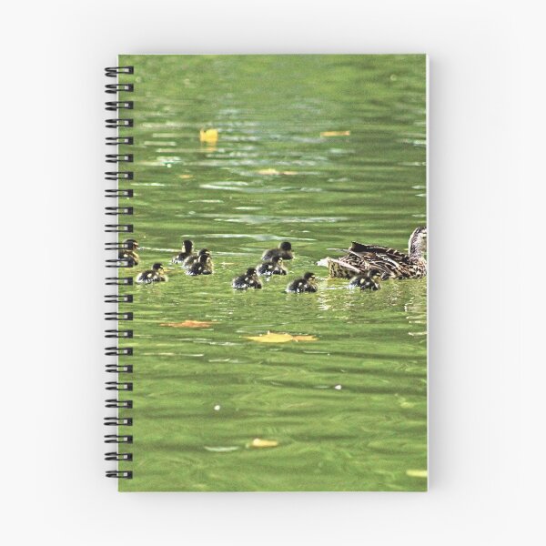 Item preview, Mallard Duck Mother and Brood of Ducklings Swimming designed and sold by Anna Lemos.