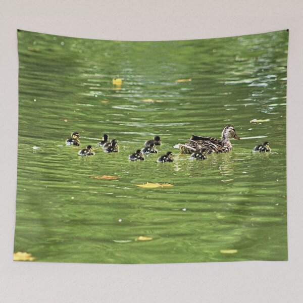 Item preview, Mallard Duck Mother and Brood of Ducklings Swimming designed and sold by Anna Lemos.