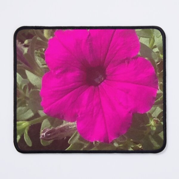 Item preview, Pink Petunia 1 designed and sold by KimSyOk.