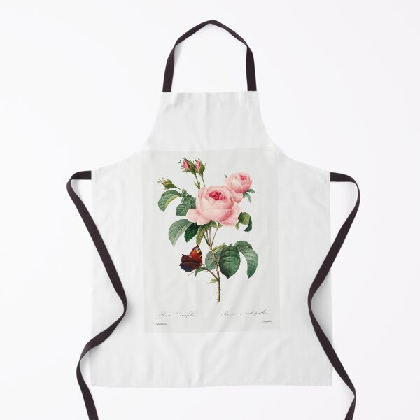 Item preview, Cabbage rose by Pierre-Joseph Redouté (1759–1840). Original from Biodiversity Heritage Library. designed and sold by LenaShines.