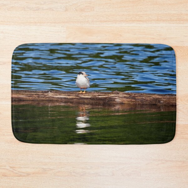 Item preview, Still a  bit shy to fly. Young Common tern designed and sold by Jouko Lehto Photography.