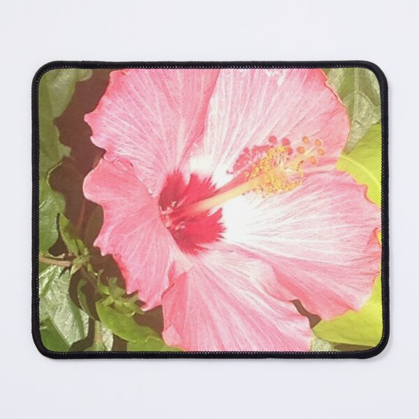 Artikel-Vorschau von Rosa Hibiskus 2, designt und verkauft von KimSyOk.