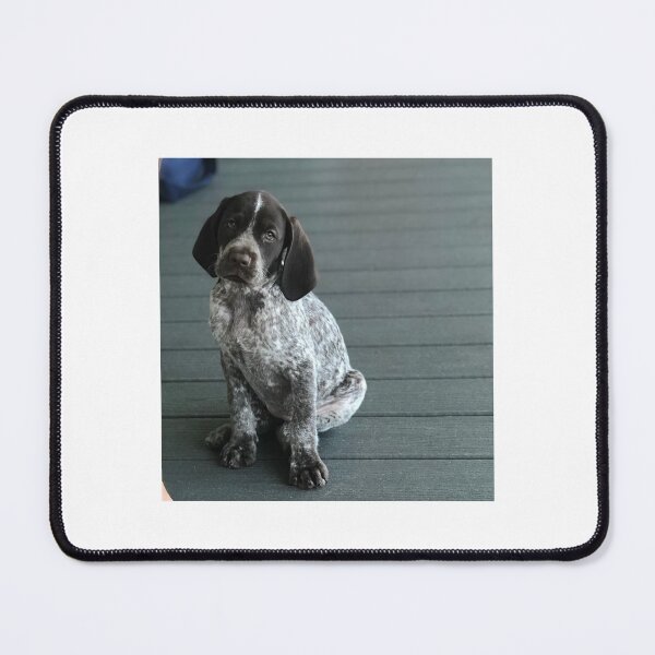 Item preview, Pointer Puppy on the Deck designed and sold by BaileyBirdDog.