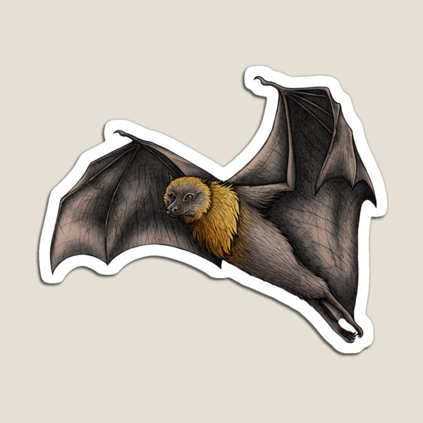 Rodrigues Fruit Bats Magnet