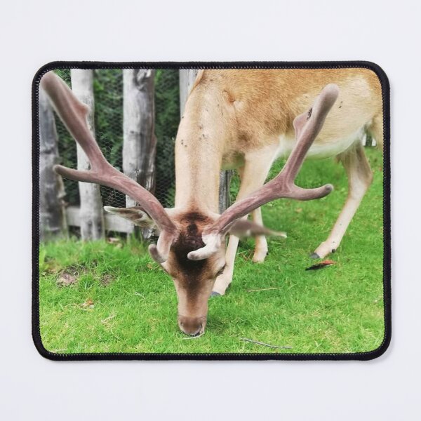 Item preview, Grazing Deer in the Gardens designed and sold by Dapper Kraken.