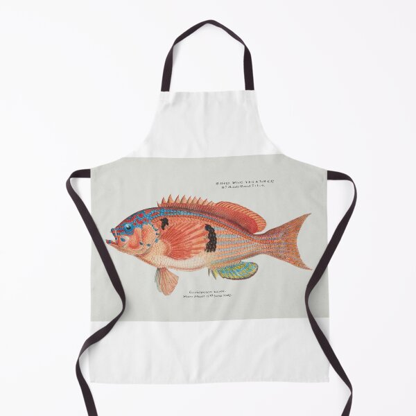 Item preview, Antique fish caesioperca rasor sea perch drawn by Fe. Clarke (1849-1899). Original from Museum of New Zealand. designed and sold by LenaShines.