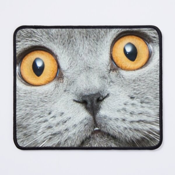 Produits Sur Le Theme Chemise Yeux De Chat Redbubble