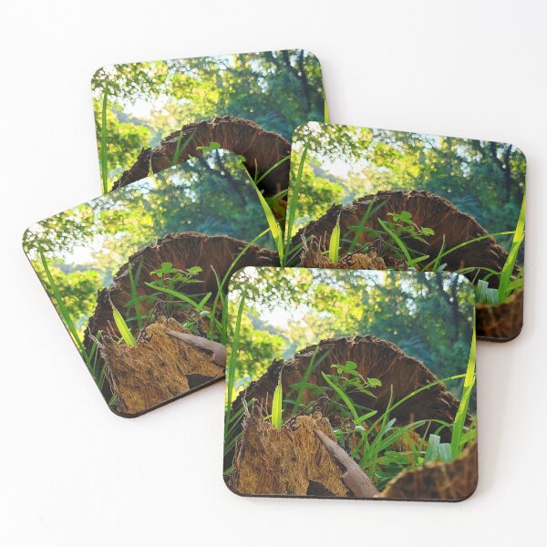 Item preview, Regrowth designed and sold by Fynns Photography.