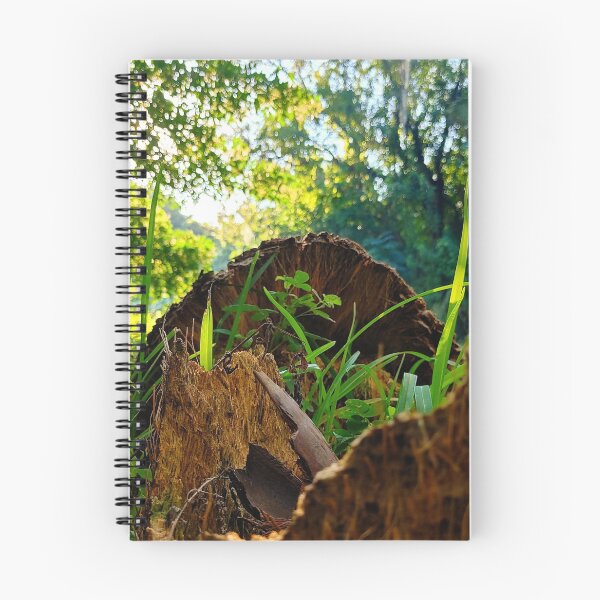 Item preview, Regrowth designed and sold by Fynns Photography.