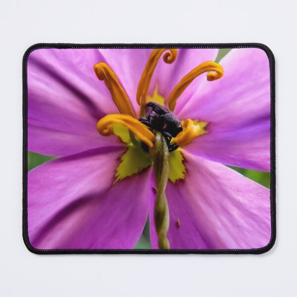 Item preview, A Bugs Fantasy designed and sold by GenaHerro.