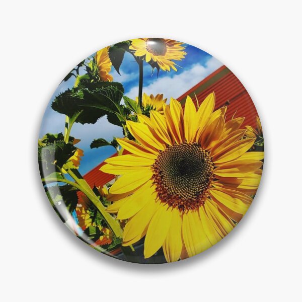 Item preview, Show me the sunflowers designed and sold by Shannon Ellis.
