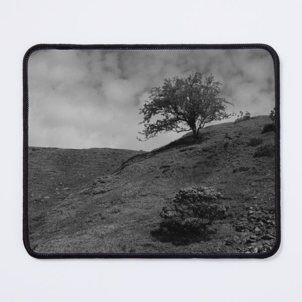 Item preview, Lone Tree designed and sold by Ntozer84.