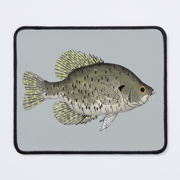 Item preview, Black Crappie designed and sold by fishfolkart.