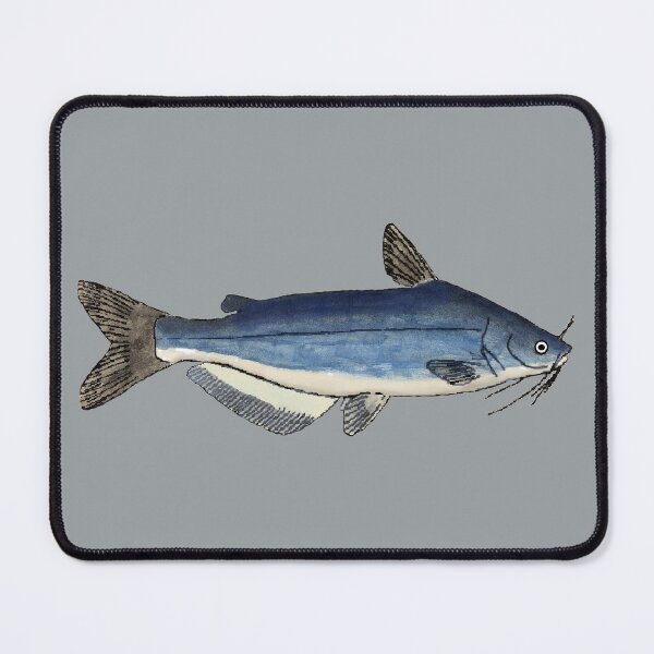 Item preview, Blue Catfish designed and sold by fishfolkart.