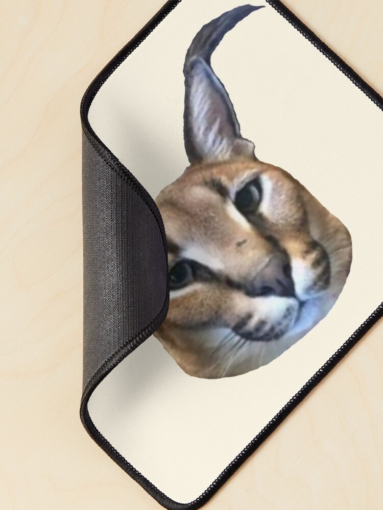 Funny Caracal Cat Floppa Meme Mouse Pad Square Non-Slip Rubber