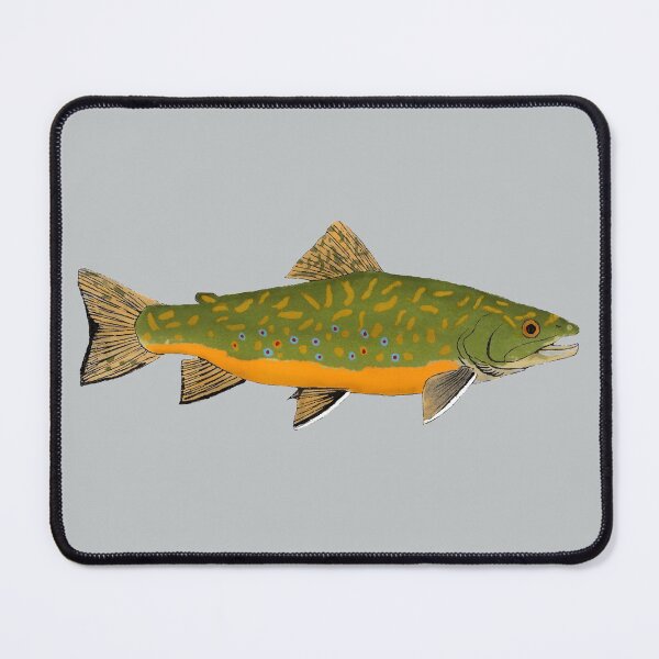 Item preview, Brook Trout designed and sold by fishfolkart.