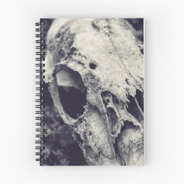 Artikelvorschau, Rehschädel entworfen und verkauft von HauntedMammoth.