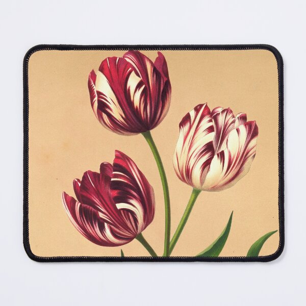 Item preview, Vintage Botanical Print: Late Tulips / Bybloemen or Violets from the Cooper Hewitt Museum designed and sold by Douglas E. Welch Design and Photography.