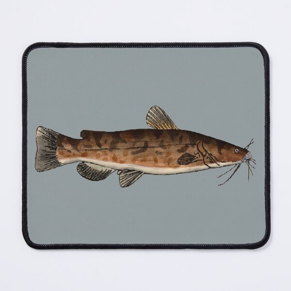 Item preview, Flathead Catfish designed and sold by fishfolkart.