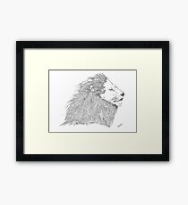 Jimmy 001 Framed Print