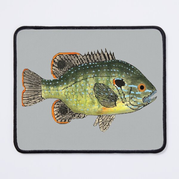 Item preview, Green Sunfish designed and sold by fishfolkart.