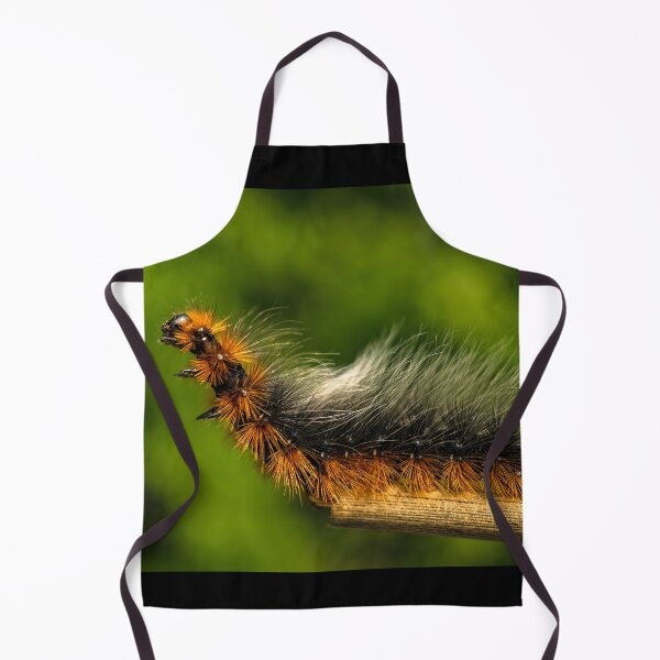 Item preview, Garden Tiger Moth caterpillar or Woolly Bear caterpillar because of its long hairs designed and sold by AlbertMi.