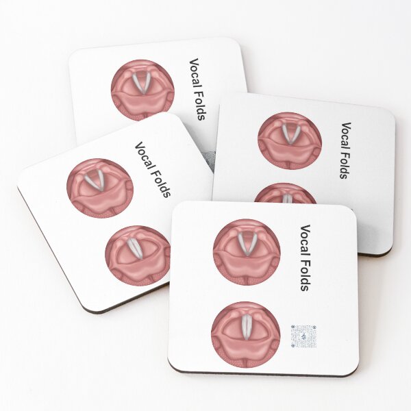 Item preview, Vocal Folds that open and close with QR code to see animations designed and sold by BlueTreePublish.
