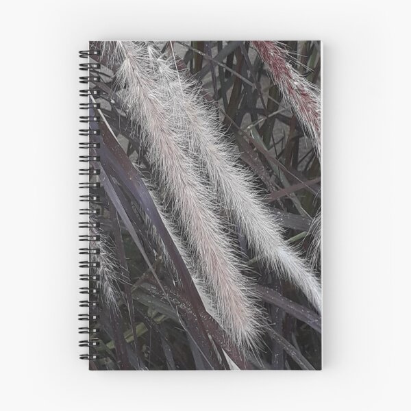 Item preview, PAMPAS GRASS designed and sold by Coolklaset.