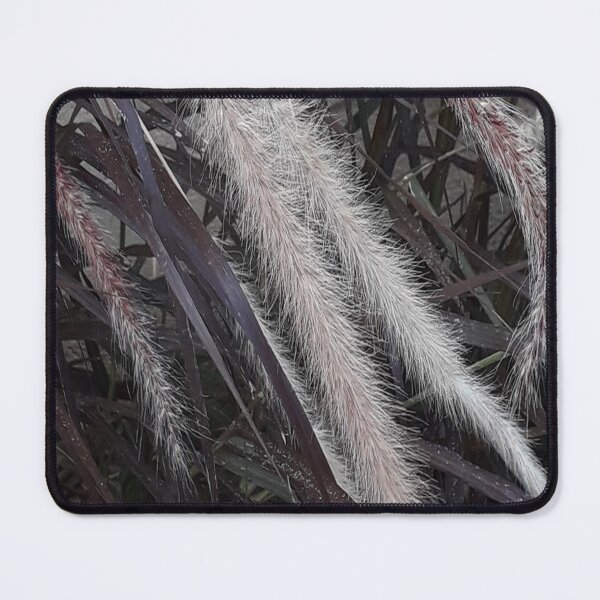 Item preview, PAMPAS GRASS designed and sold by Coolklaset.