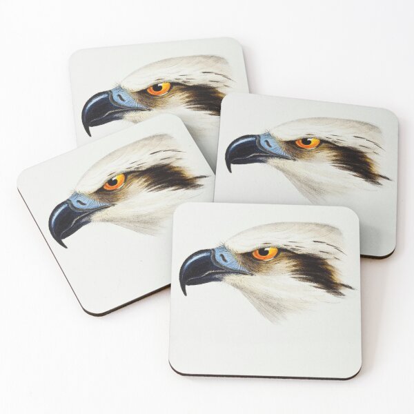 Item preview, White-headed Osprey (Pandion leucocephalus) illustrated from A Synopsis of the Birds of Australia and the Adjacent Islands (1837) by John Gould (1804-1881). designed and sold by LenaShines.