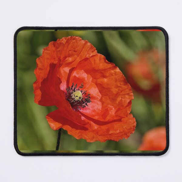 Item preview, r 2591/ 13 " un Coquelicot en direction de  l'Espace " à l'écoute de Coquelicots Extraterrestres ! a Poppy in the direction of Space "listening to Extraterrestrial Poppies! " par Okaio Créations  designed and sold by o.okaïo.