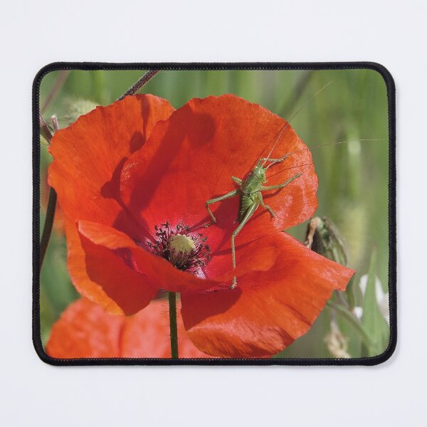 Item preview, r 2590/ 12, Support Coquelicot Pour les JO 2021 !: Saut en Longueur - Long jump " par Okaio Créations Olavia&Olao designed and sold by o.okaïo.