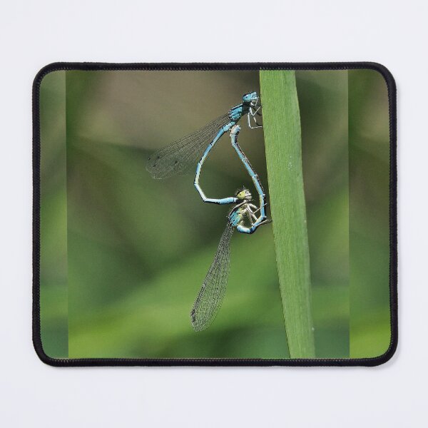 Item preview, 2581/  6  Libellules-Dragonflies " Des têtes de Clowns amoureux ! "  finition 2020 par Okaio Créations - Olavia&Olao  designed and sold by o.okaïo.