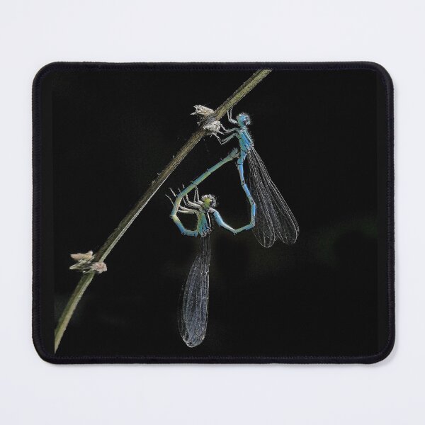 Item preview, 2577/  2  Libellules-Dragonflies " La Beauté dans la pénombre "  finition 2020 par Okaio Créations - Olavia&Olao  designed and sold by o.okaïo.