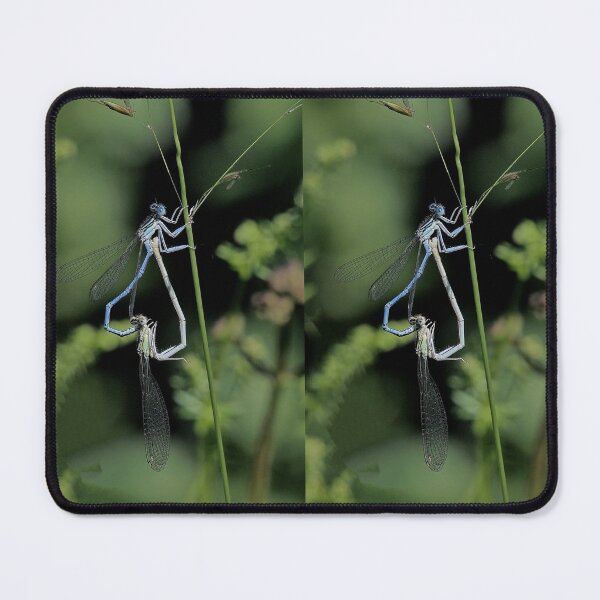 Item preview, 2576/  1  Libellules-Dragonflies " Un coeur Tendre "  finition 2020 par Okaio Créations - Olavia&Olao  designed and sold by o.okaïo.