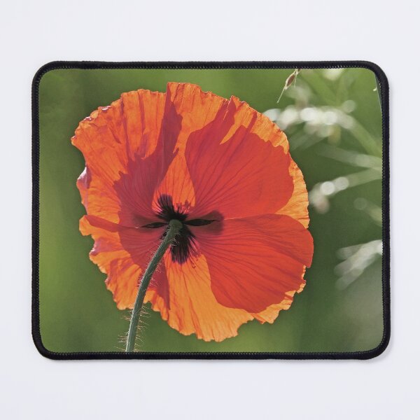 Item preview, r 2567/ 12 " Eternel Beauté du Coquelicot " par Okaio Créations Olavia&Olao designed and sold by o.okaïo.